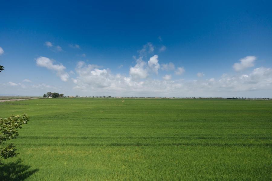 Salicornia Apartament L'Eucaliptus 外观 照片
